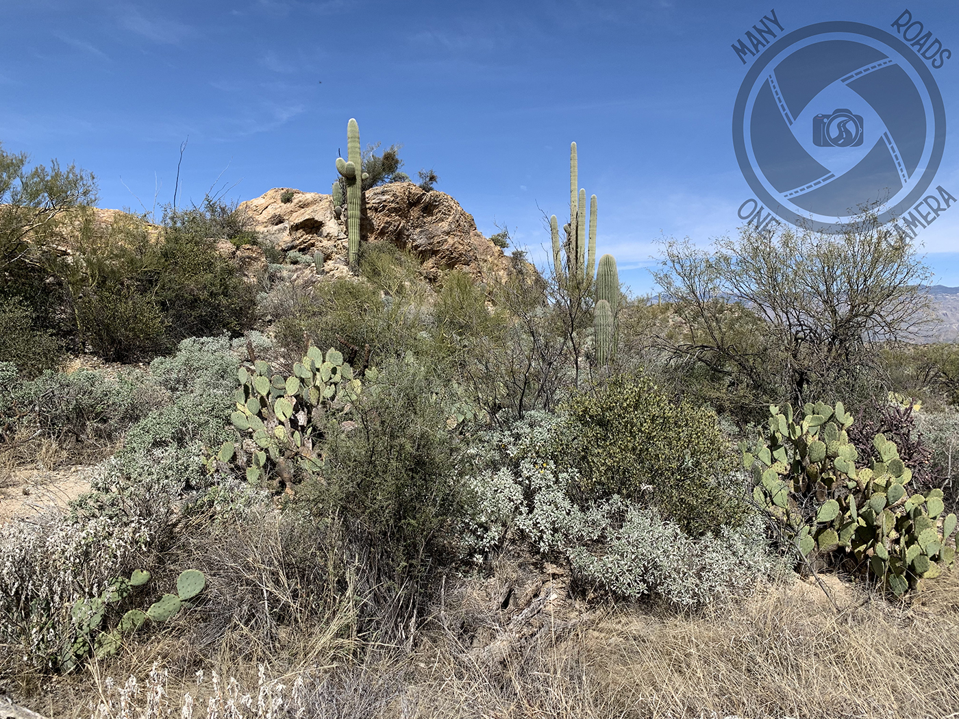 Drive to Parker AZ – Many Roads One Camera